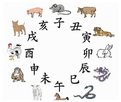 癸己|癸巳年（干支纪年法年份）